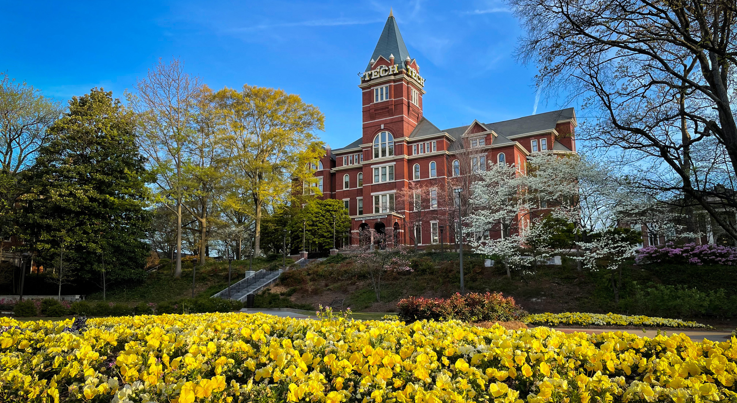 Tech Tower on the Georgia Tech campus framed by blooming yellow flowers, flowering trees, and a clear blue sky.