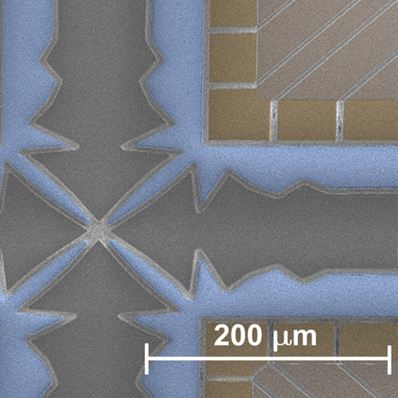 Microscopic view of a four-way microfabricated junction with pointed electrodes converging at the center and a 200-micrometer scale bar.