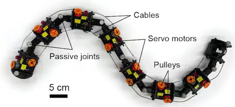 file-20240212-20-gtf8t7.jpeg Worm-like robot.