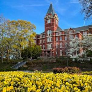 Tech Tower on the Georgia Tech campus framed by blooming yellow flowers, flowering trees, and a clear blue sky.