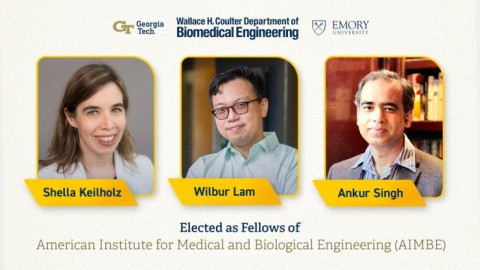 2022 AIMBE Fellows - Keilholz, Lam, Singh 2022 AIMBE Fellows - Keilholz, Lam, Singh
