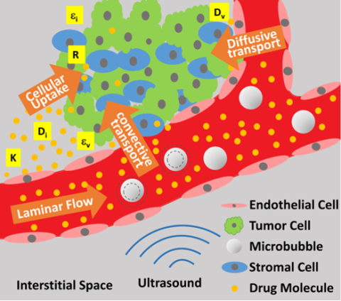 https://neuro.gatech.edu/sites/default/files/Hg_News/Fig_4A_0.png https://neuro.gatech.edu/sites/default/files/Hg_News/Fig_4A_0.png