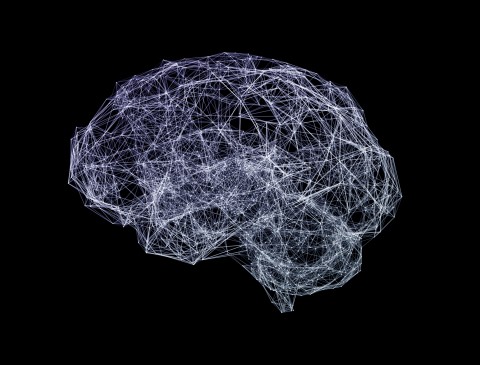 An illustration of brain networks. Credit: Getty images.