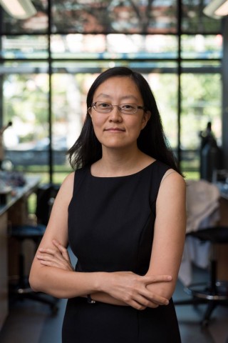 Chemical and Biomolecular Engineering Professor Hang Lu Chemical and Biomolecular Engineering Professor Hang Lu