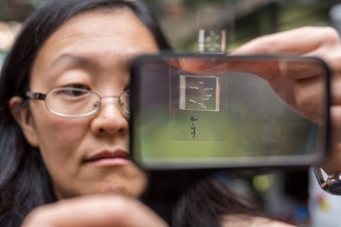 Hang Lu C. elegans chip Hang Lu C. elegans chip