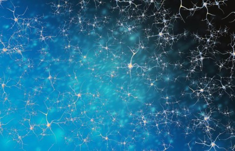 Neurons Neurons