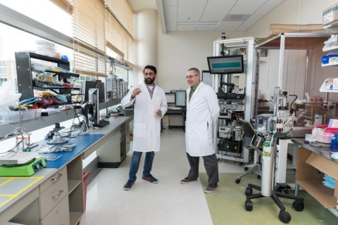Butera lab at Coulter Butera lab at Coulter