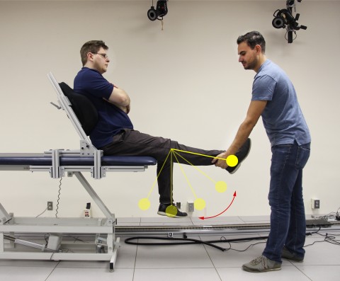New model lends additional insight into physiological mechanisms of spasticity in cerebral palsy  