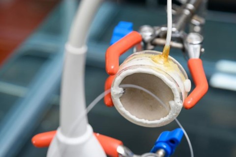 https://neuro.gatech.edu/sites/default/files/Hg_News/Ultrasound.lab_.sm_.crp__0.jpg https://neuro.gatech.edu/sites/default/files/Hg_News/Ultrasound.lab_.sm_.crp__0.jpg