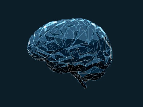Brain illustration (iStock) Brain illustration (iStock)