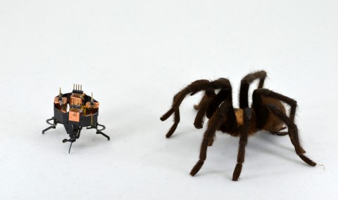 mCLARI_Spider.jpg mCLARI_Spider.jpg