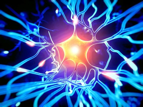 https://neuro.gatech.edu/sites/default/files/Hg_News/neural_0.jpg https://neuro.gatech.edu/sites/default/files/Hg_News/neural_0.jpg