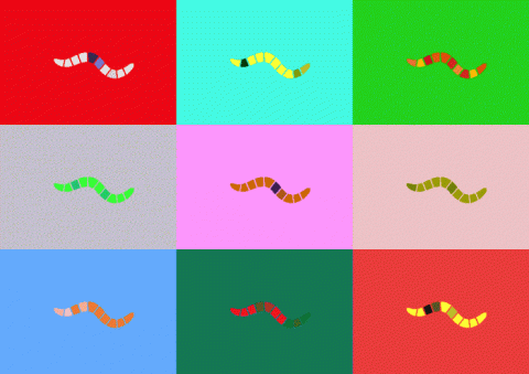 C. elegans roundworm cartoon gif C. elegans roundworm cartoon gif