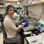 Farzaneh_Najafi-lab_pic.jpeg